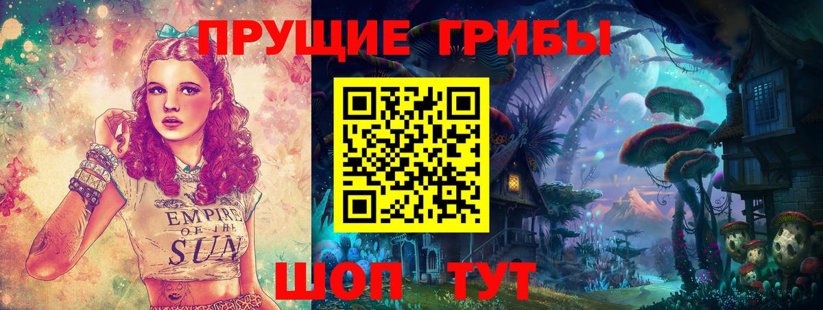 Псилоцибиновые грибы Psilocybe  Вход с VPN  Галлюциногенные грибы ЛСД  что такое   Аксай 